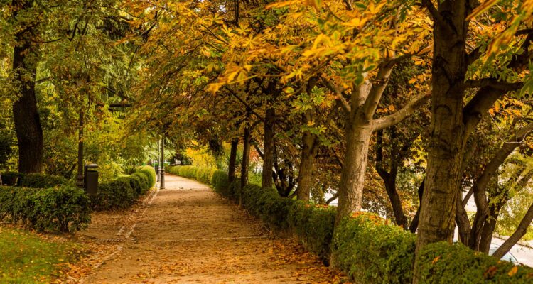Parque Quinta de la Fuente del Berro en el distrito Salamanca, Madrid
